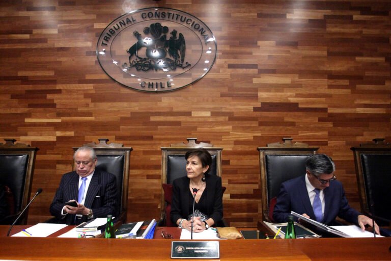 Tribunal Constitucional abre sumario administrativo contra María Luisa Brahm