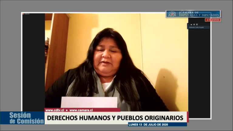 VIDEO| Comisión de DD.HH de la cámara de diputados aborda los casos de Gustavo Gatica y Fabiola Campillai