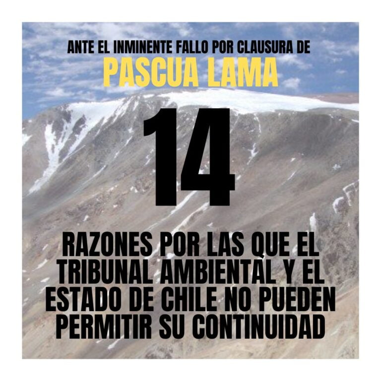 Pascua Lama: 14 razones por las que el Tribunal Ambiental y el Estado de Chile no pueden permitir su continuidad