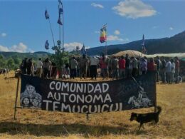 Temucuicui Policía comunal mapuche