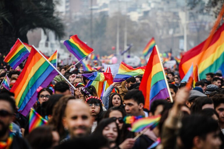 Ocho constituyentes LGBTIQ+ para la nueva Carta Magna