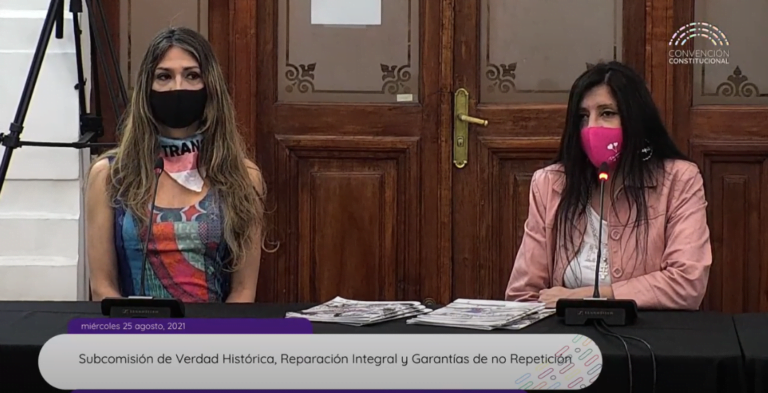 Alejandra Soto en Comisión de Derechos Humanos de la CC: “Buscamos una ley integral trans-travesti para tener salud, educación, justicia, vivienda y reparación”