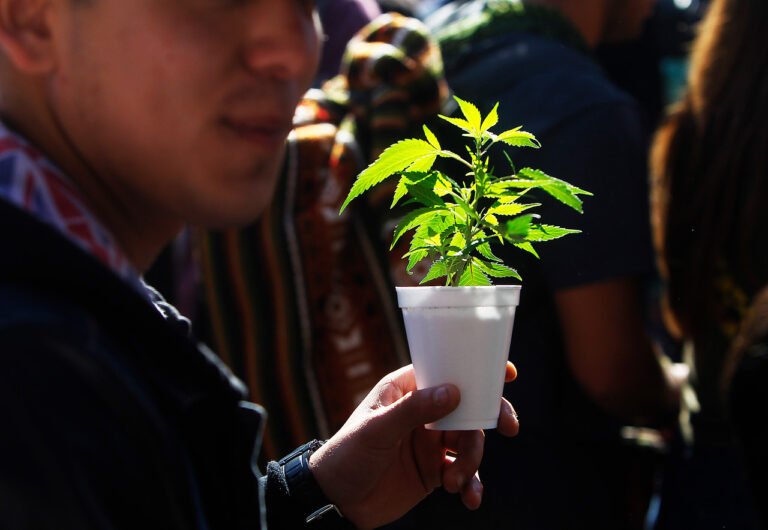 Usuarios de cannabis medicinal: 5 testimonios sobre su fundamental ayuda en la calidad de vida