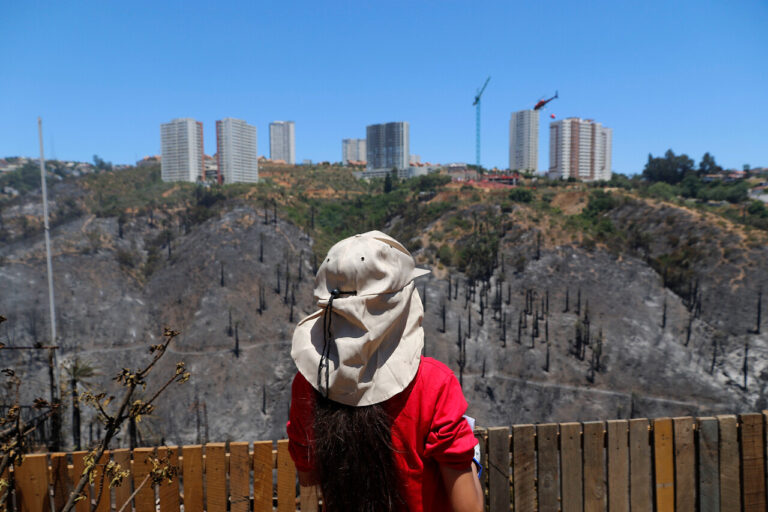 En qué consiste y qué ha ocurrido con el proyecto que prohíbe por 50 años edificar en terrenos incendiados