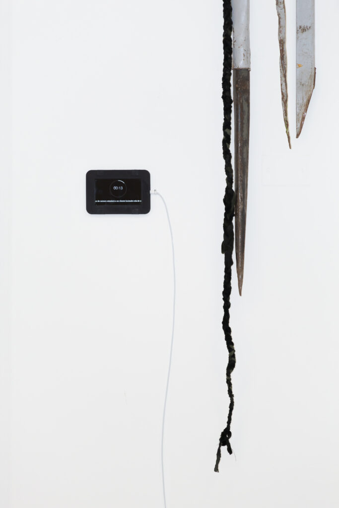 Muestra Hechizas de Demian Shopf, Foto: Jorge Gronemeyer