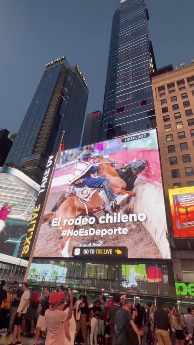 Campaña animalista “El rodeo chileno #NoEsDeporte” llegó al Time Square